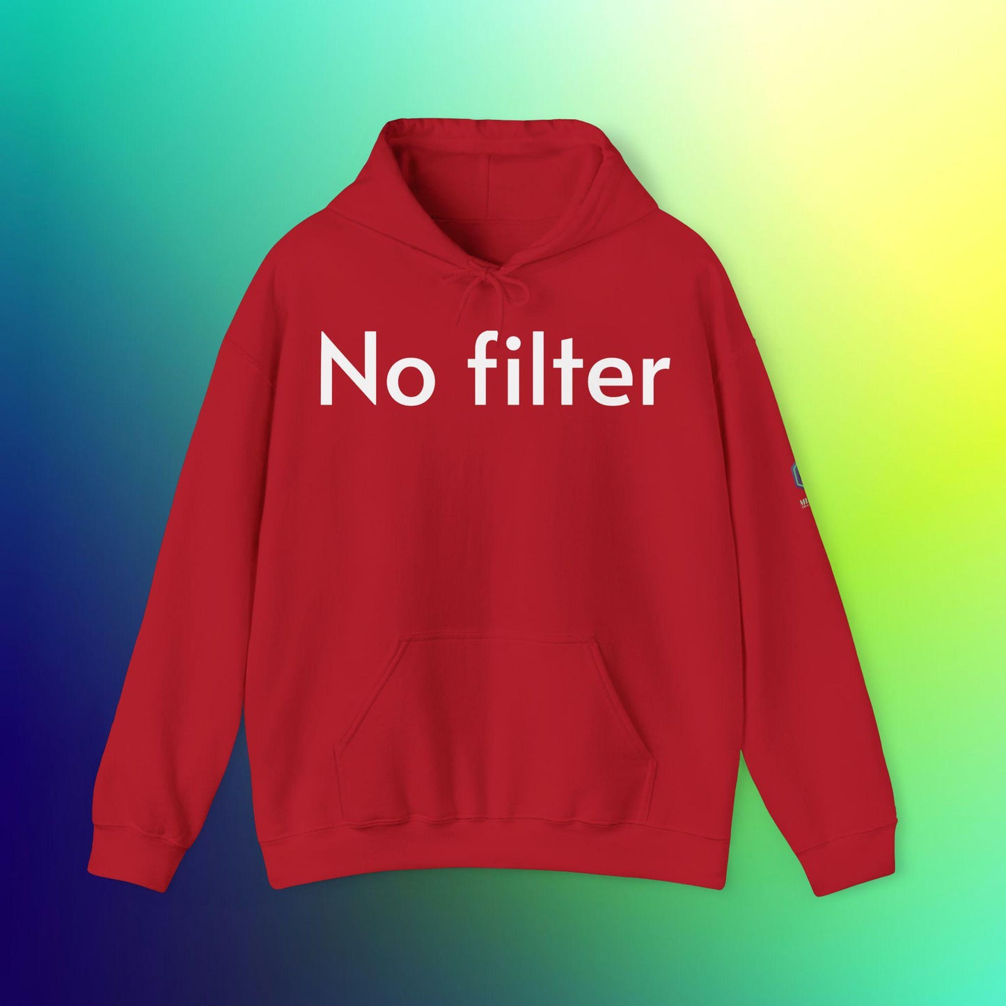 No Filter Funny Sarcastic Hoodie