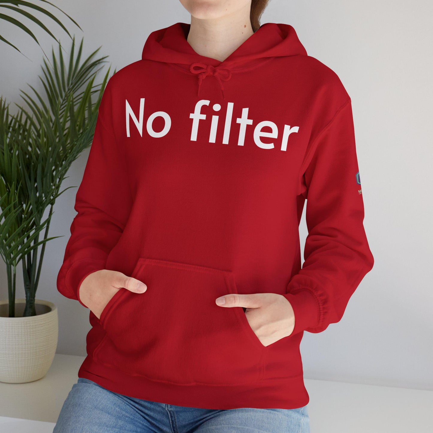 No Filter Funny Sarcastic Hoodie